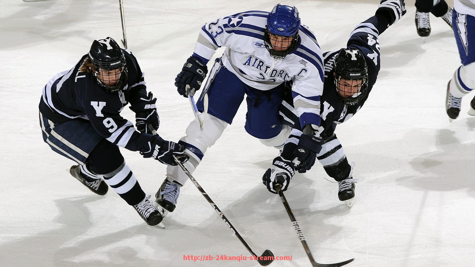 24看球直播网-如何根据身高体重选择合适的健身器材